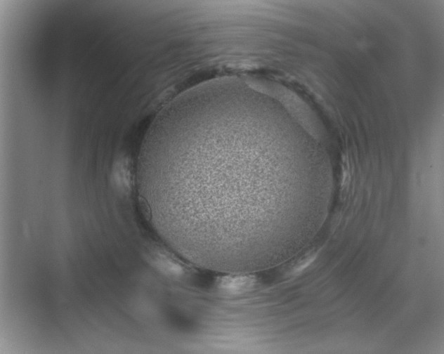 X0000076030135200609291008