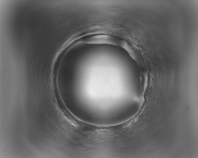 X0000076030150200609291007