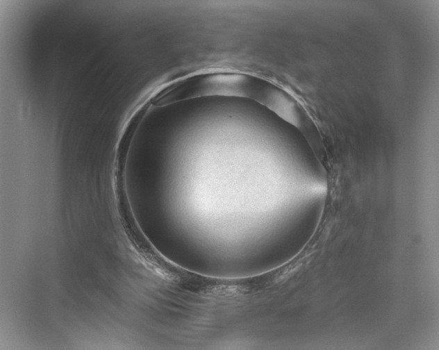 X0000076030152200609291007