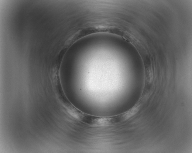 X0000076030184200609291008