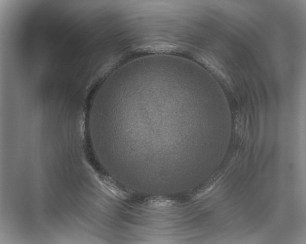 X0000076030206200609291007