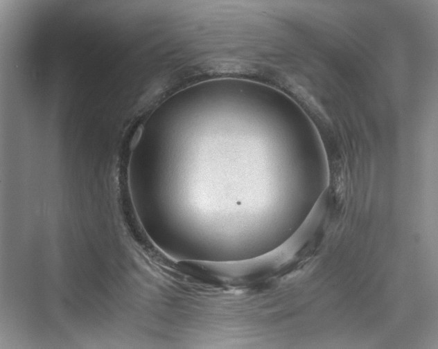 X0000076030207200609291007