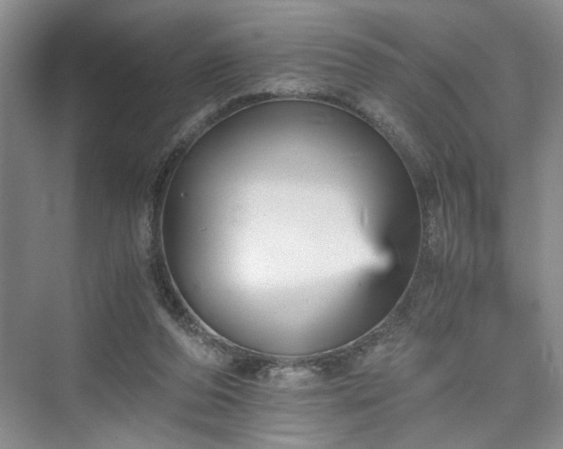 X0000076030208200609291007