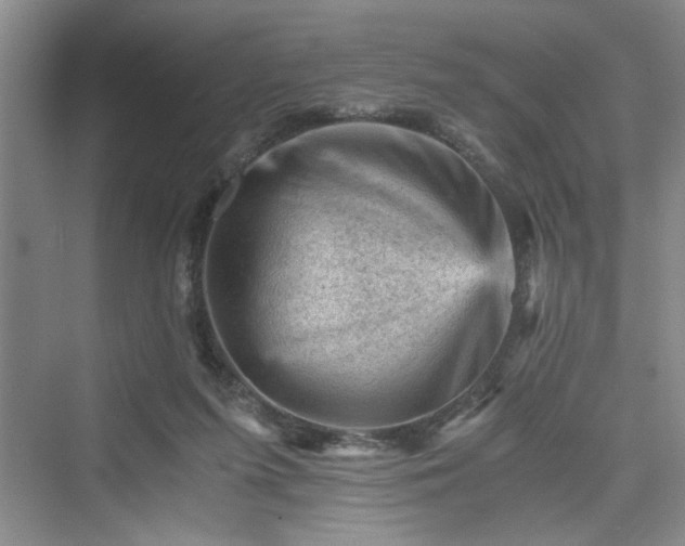 X0000076030215200609291007
