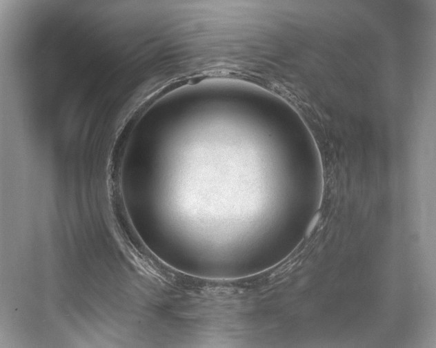 X0000076030242200609291005