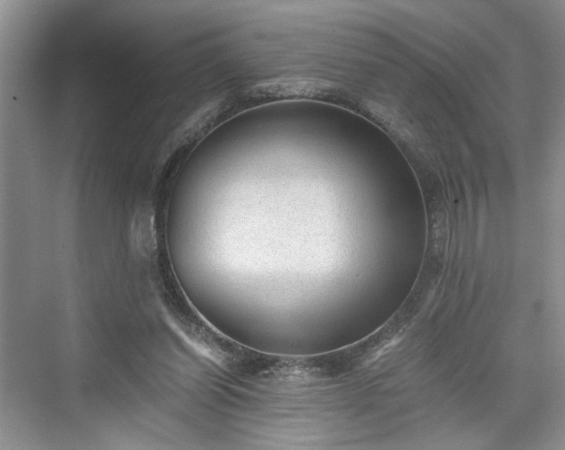 X0000076030254200609291006