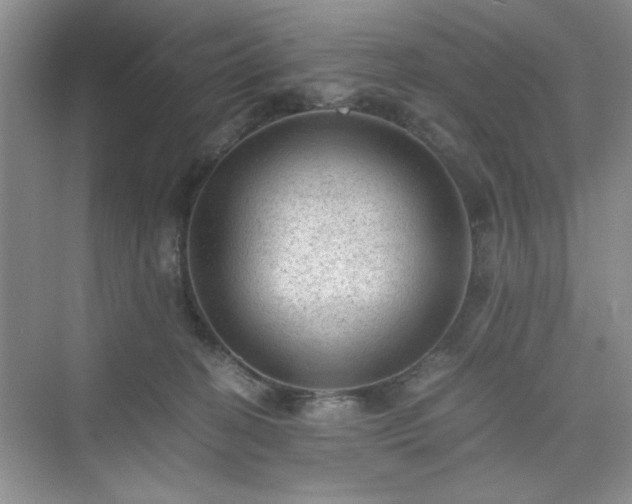 X0000076030274200609291006