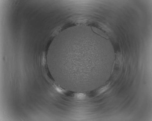 X0000076030287200609291006