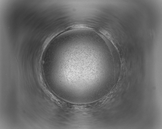 X0000076030289200609291005