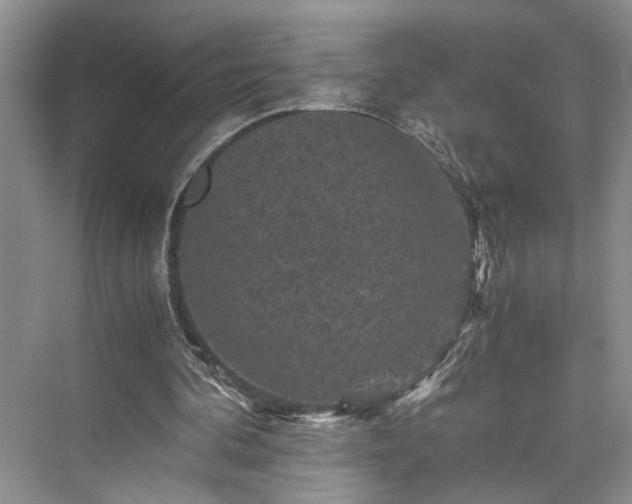 X0000076030292200609291005