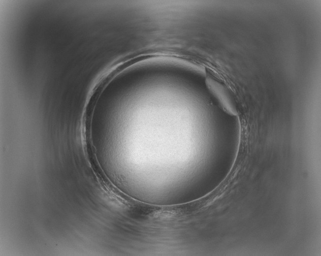 X0000076030294200609291005