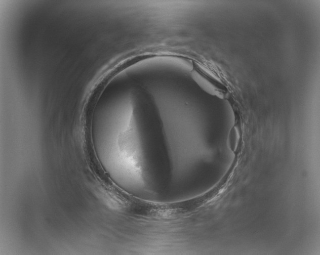 X0000076030295200609291005