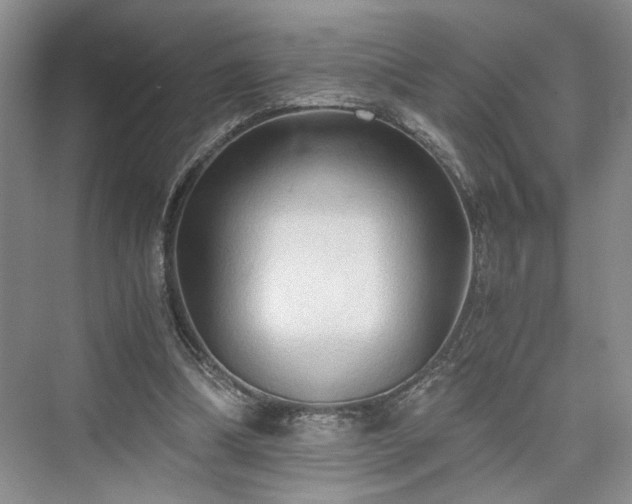 X0000076030298200609291005