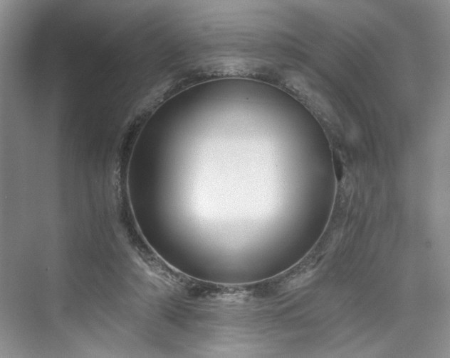 X0000076030306200609291005