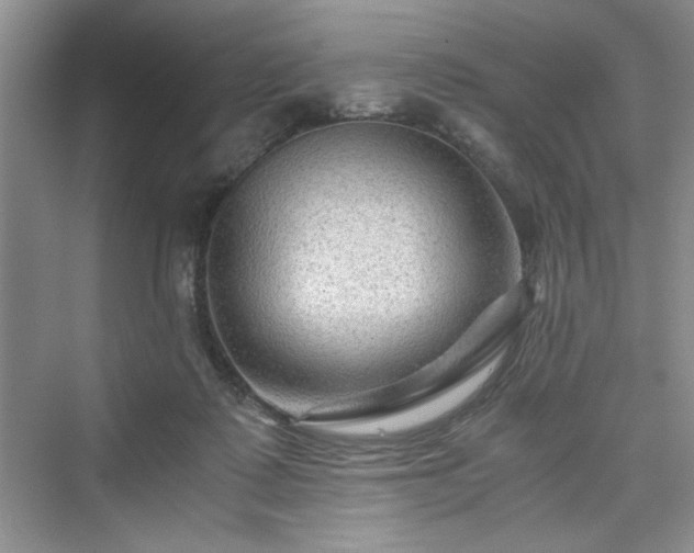 X0000076030315200609291005