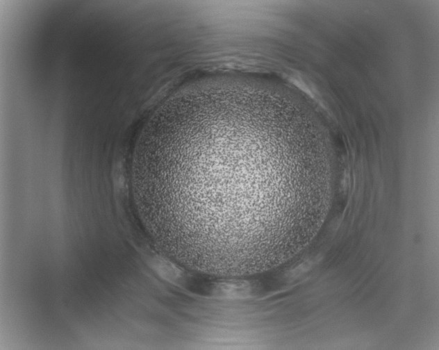 X0000076030317200609291005