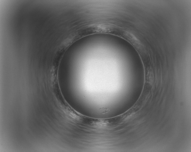 X0000076030318200609291005