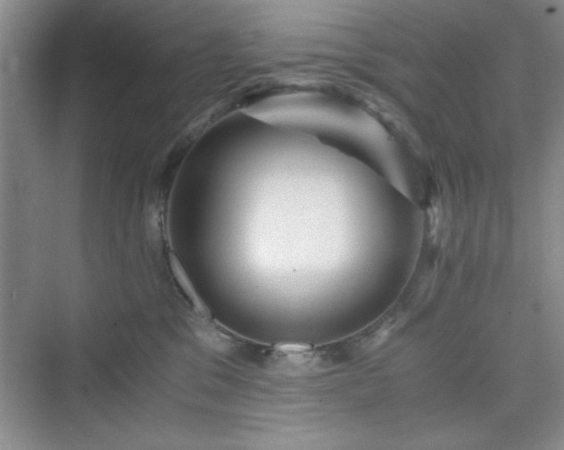 X0000076030329200609291005