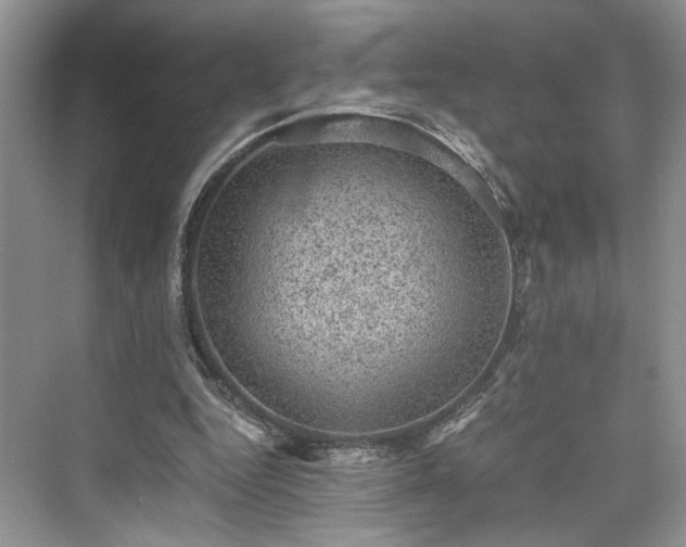 X0000076030344200609291004