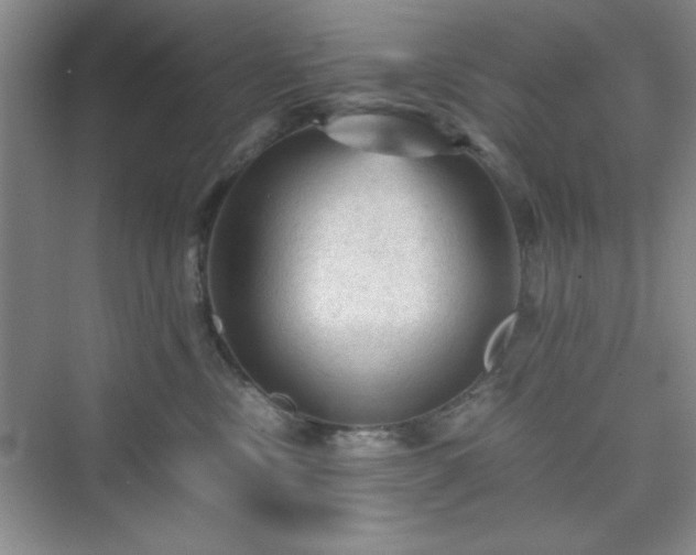 X0000076030378200609291004