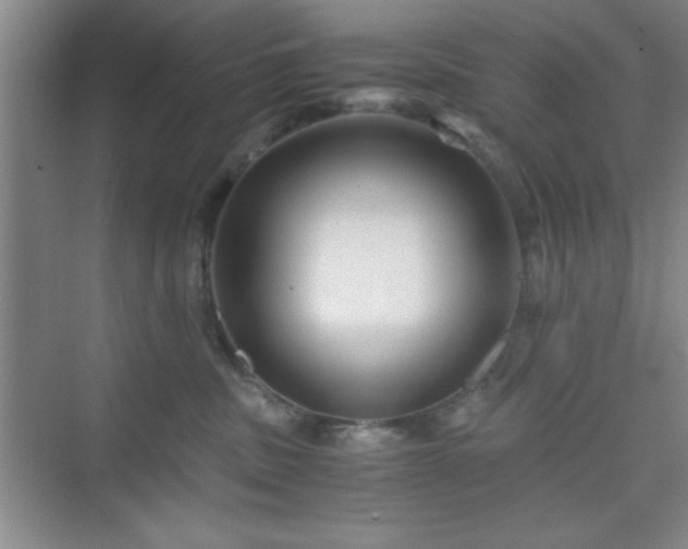 X0000076030379200609291004
