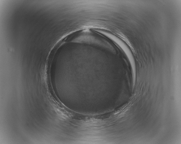 X0000076030387200609291004