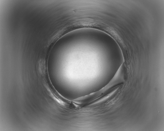 X0000076030397200609291004