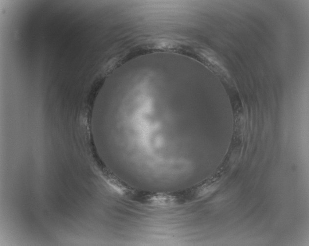 X0000076030415200609291003
