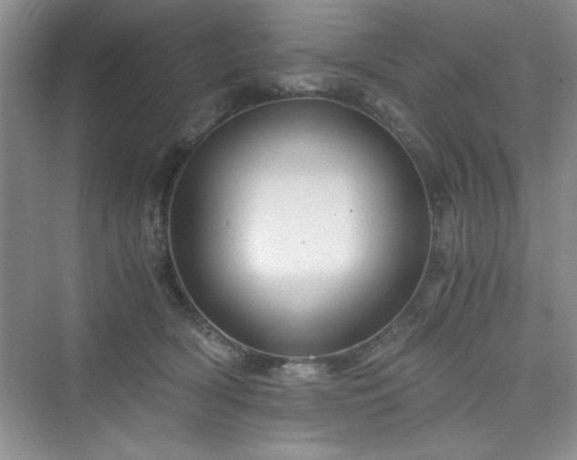 X0000076030418200609291003