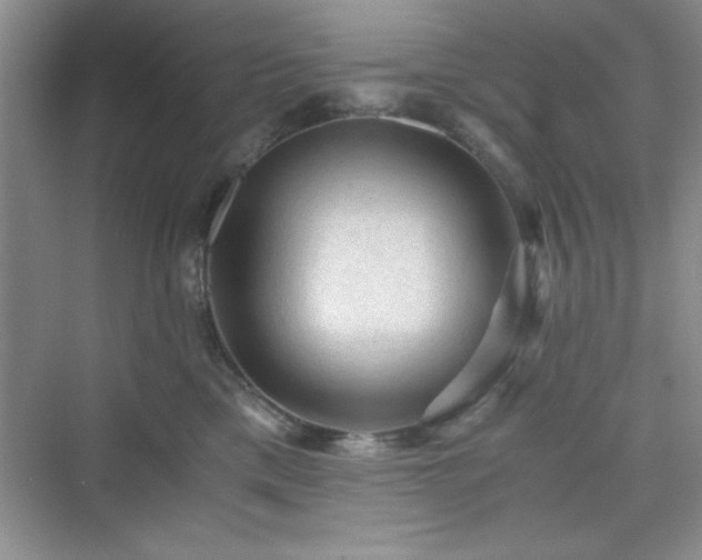 X0000076030425200609291003