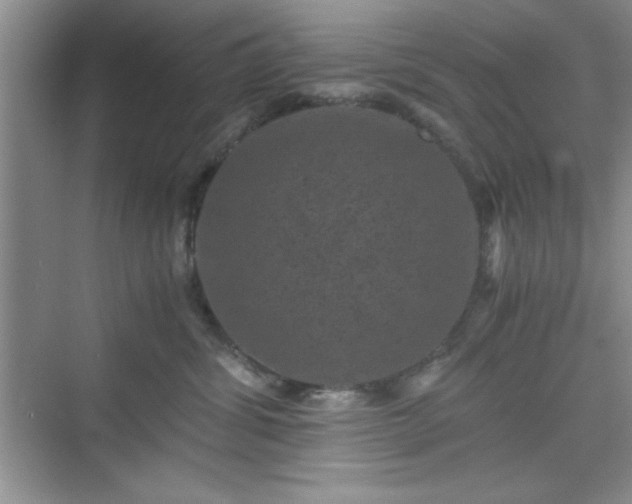 X0000076030428200609291003