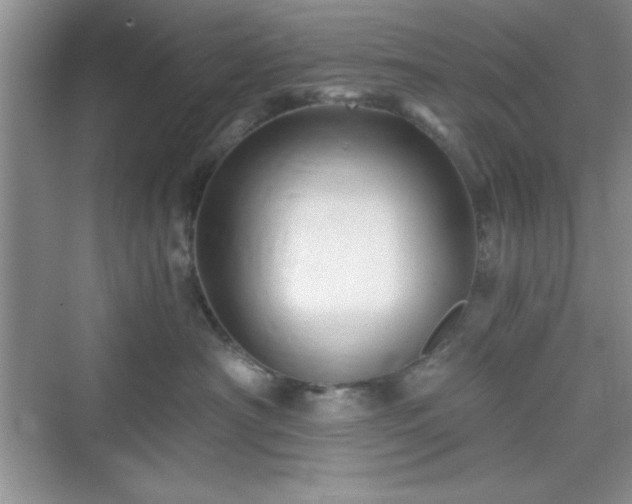 X0000076030430200609291003