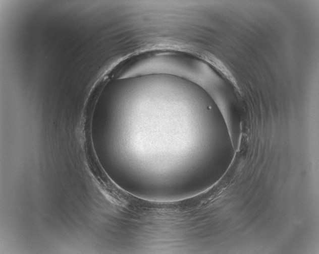 X0000076030436200609291002