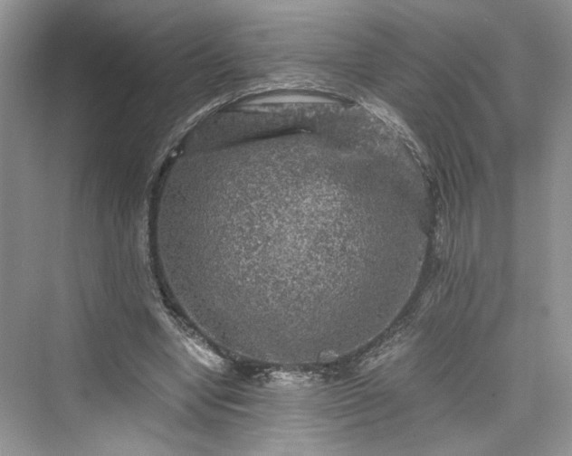 X0000076030442200609291002