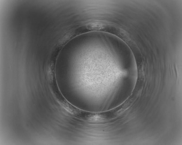 X0000076030460200609291003