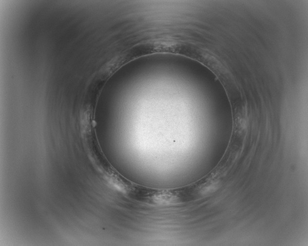 X0000076030468200609291003