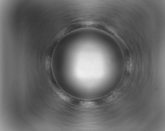 X0000076030476200609291003