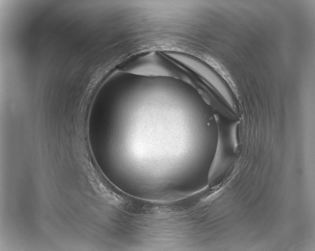 X0000076030481200609291002