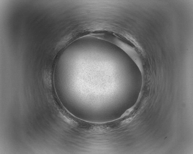 X0000076030489200609291002