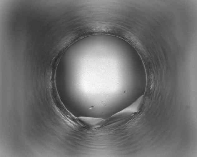 X0000076030490200609291002