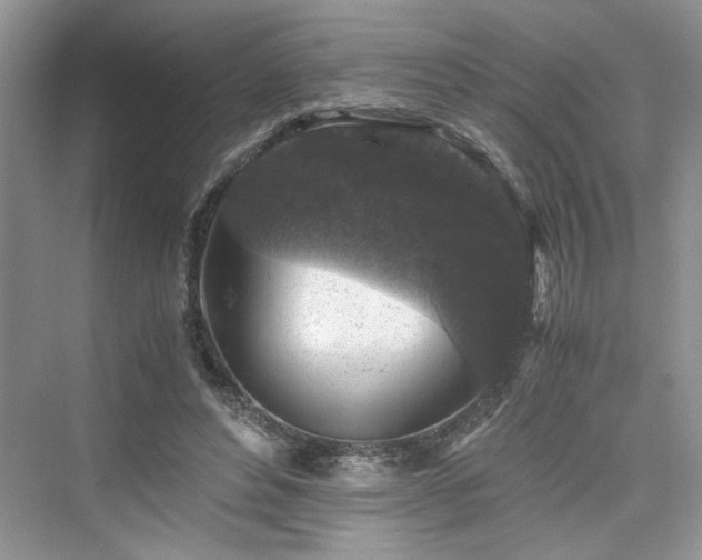 X0000076030496200609291002