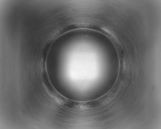 X0000076030498200609291002
