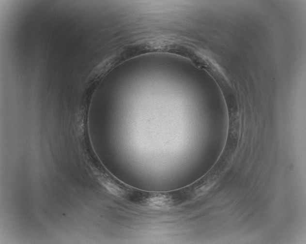 X0000076030505200609291002