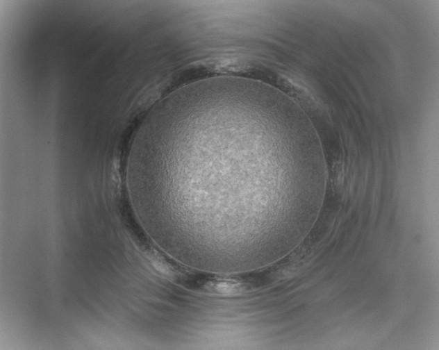 X0000076030506200609291002