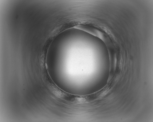 X0000076030509200609291002