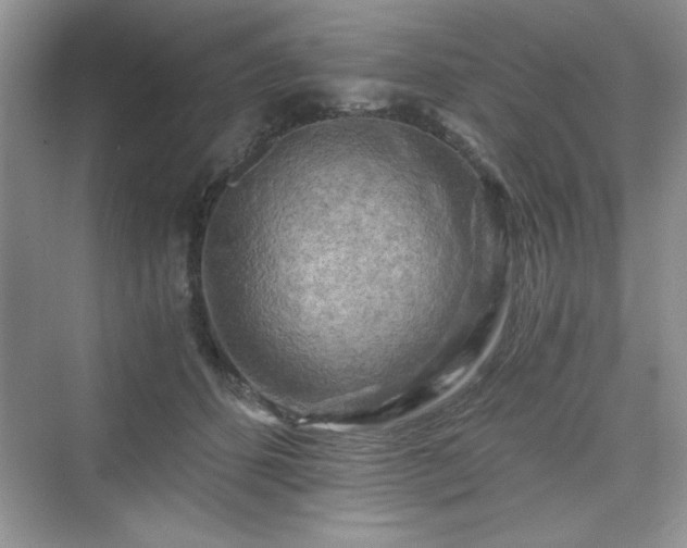 X0000076030512200609291002