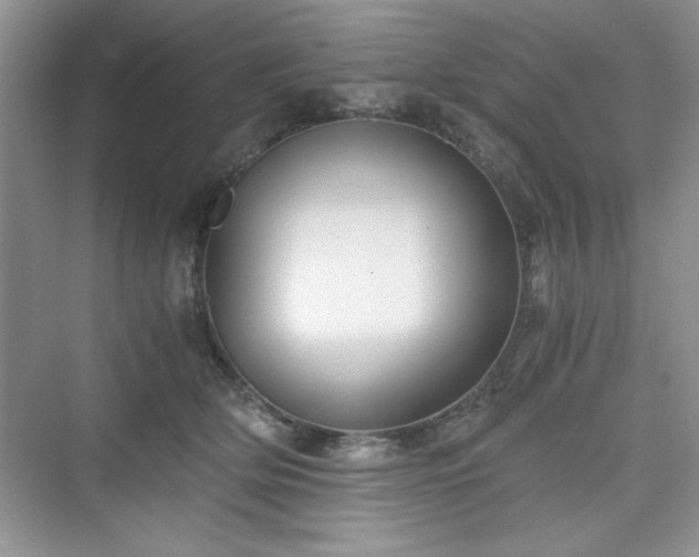 X0000076030514200609291002