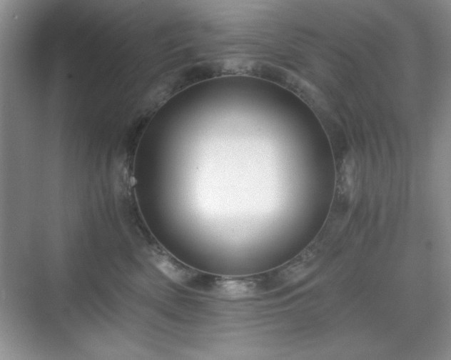 X0000076030522200609291001