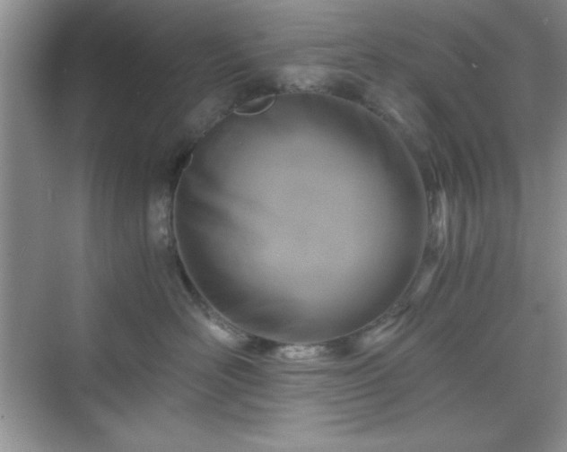 X0000076030526200609291001