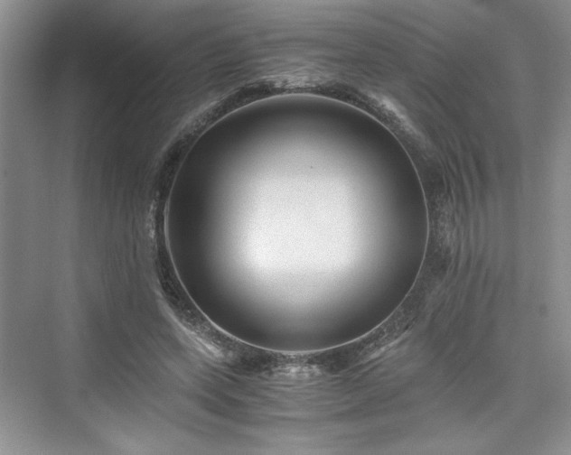 X0000076030543200609291001